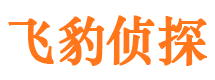 清水河侦探公司